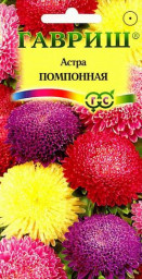Астра Помпонная смесь 0,3гр Гавриш