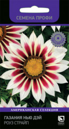 Газания Нью Дэй Роуз Страйп 10шт Поиск