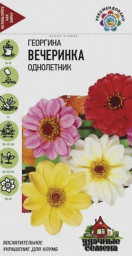 Георгина Вечеринка 0,3гр Уд. с. Гавриш