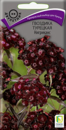 Гвоздика турецкая Нигриканс 0,3гр Поиск