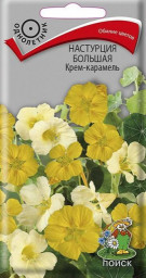 Настурция большая Крем-карамель 1гр Поиск