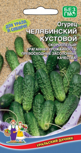 Огурцы Сорт Кустовой Отзывы Фото